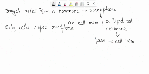 what-determines-whether-or-not-a-particular-cell-will-respond-to-a-particular-hormone-a-the-target-cell-must-have-a-receptor-that-specifically-binds-to-that-hormone-b-the-target-cell-must-la-99016