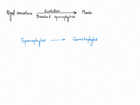 a-major-change-that-occurred-in-the-evolution-of-plants-from-their-algal-ancestors-was-the-origin-of-a-branched-sporophyte-what-advantage-would-branched-sporophytes-provide-in-this-stage-of-46181
