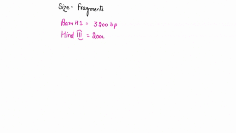 directions-use-the-information-in-the-gel-below-to-determine-the-sizes-of-fragments-that-are-present-in-the-gel-when-the-recombinant-plasmid-is-digested-with-the-various-restriction-enzymes-69476