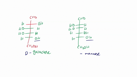 01-study-the-following-fischer-projections-to-answer-the-questions-below-cho-h-oh-ho-h-ho-h-h-oh-chzoh-cho-ho-ho-h-h-oh-h-oh-chzoh-galactose-mannose-galactose-a-d-sugar-or-an-l-sugar-is-mann-47542