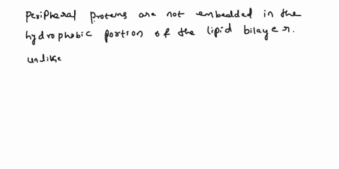 2-which-of-these-are-not-embedded-in-the-hydrophobic-portion-of-the-lipid-bilayer-at-all-transmembrane-proteins-b-integral-proteins-peripheral-proteins-all-of-these-are-embedded-in-the-hydro-38043