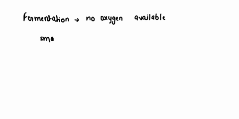 which-step-of-respiration-produces-the-most-energy-for-the-organism-o-a-krebs-cycle-o-o-o-b-glycolysis-c-fermentation-d-electron-transport-chain-41263