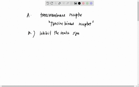 02-the-following-figure-simplifies-insulin-signalling-pathways-nsulin-responsive-tissues-use-the-figure-answer-the-following-questions-inaulin-outside-of-cell-receptor-plas-ma-mamrn-n-aetlva-37184