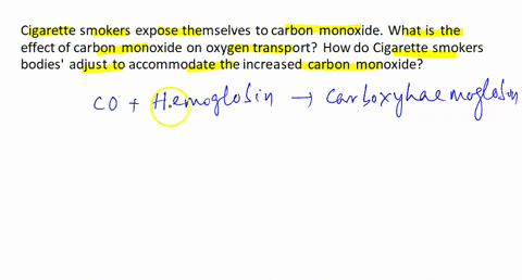 22-3-pts-cigarette-smokers-expose-themselves-t0-carbon-monoxide_-what-is-the-effect-of-carbon-monoxide-on-oxygen-transport-how-do-cigarette-smokers-bodies-adjust-to-accommodate-the-increased-07904