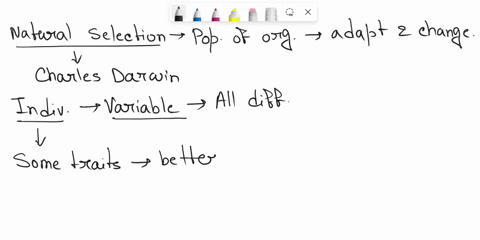 explain-in-a-few-sentences-the-process-of-natural-selection-and-its-effects-46344