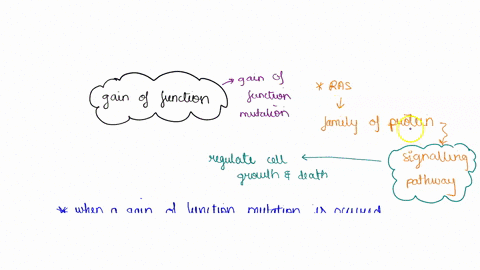 a-overactivity-mutation-gain-of-function-single-mutation-event-creates-oncogene-normal-cell-activating-mutation-enables-oncogene-to-cells-en-route-to-promote-cell-transformation-cancer-b-und-02133