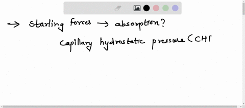 under-normal-conditions-which-starling-forces-favor-absorption-capillary-hydrostatic-pressure-and-plasma-oncotic-pressure-interstitial-fluid-hydrostatic-pressure-and-plasma-oncotic-pressure-87165
