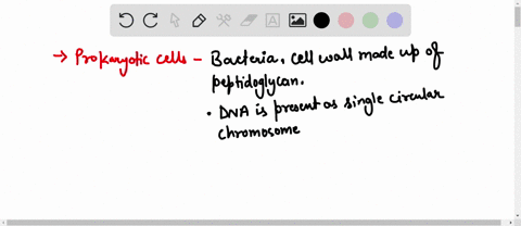 prokaryotic-cells-such-as-bacteria-have-all-of-the-following-except-a-dna-b-a-cell-wall-c-a-nucleus-35733