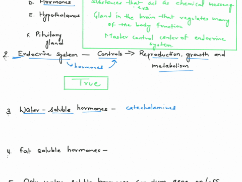 question-1-match-the-following-terms-to-their-correct-description-a-b-c-d-e-f-endocrine-system-a-b-c-d-e-f-pancreas-a-b-c-d-e-f-endocrine-glands-a-b-c-d-e-f-hormones-a-b-c-d-e-f-hypothalamus-41702