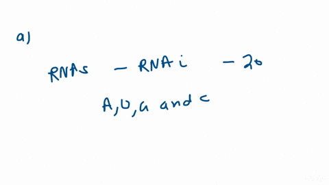 the-rnas-acting-in-rnai-are-about-20-nucleotides-uniquely-target-long-particular-gene-with-an-rna-of-to-judge-whether-it-is-possible-to-this-calculation-what-is-the-size-consider-the-followi-71935