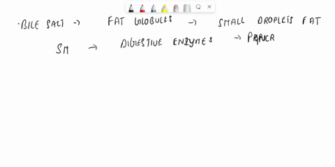 bile-is-a-secretion-that-actively-participates-in-the-digestion-of-fats-as-it-acts-as-an-emulsifier-from-the-following-list-select-the-best-description-of-the-role-of-bile-in-digestion-a-bil-31117