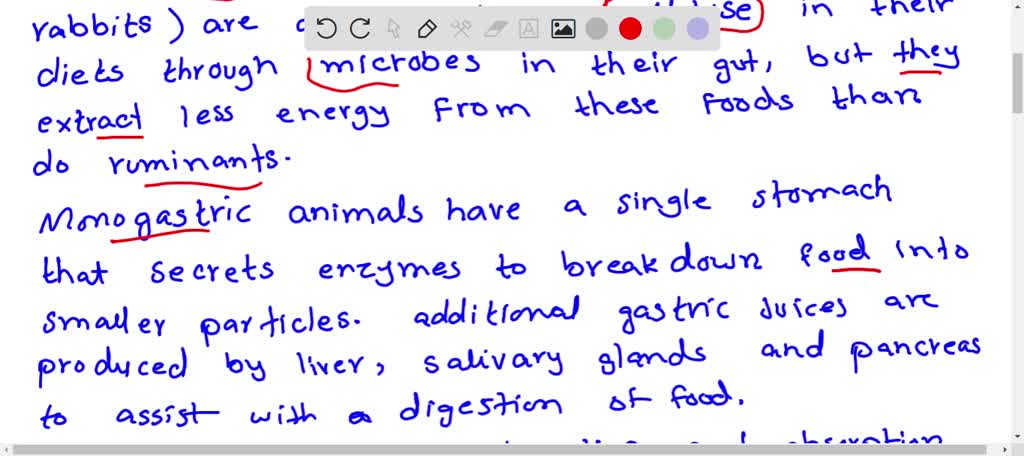 SOLVED: Describe two differences between the digestive system of grass  eating animals andhumans.