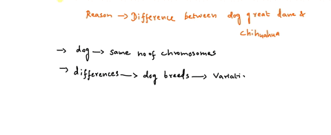 fill-in-the-table-below-for-the-major-events-and-features-of-photosynthesis-the-object-table-is-given-for-you-to-answer-the-needed-materials-and-end-products-of-photosynthesis-table-below-fo-23107