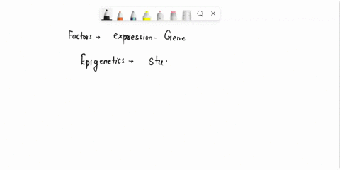 factors-that-influence-the-expression-of-genes-without-changing-the-genes-themselves-are-often-refer-00163