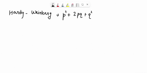 the-following-scenario-involves-questions-28-30-investigating-the-pigmentation-patters-indiduals-havei-population-drosophila-vineyard-and-the-dominant-b-allele-encodes-black-pigmentation-sup-63488