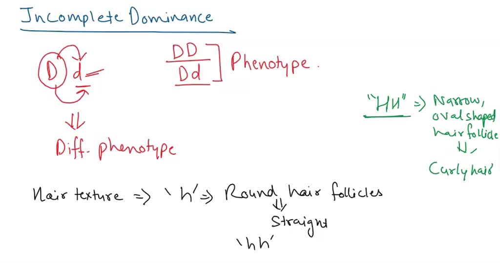 SOLVED PART B INCOMPLETE DOMINANCE Background Information Hair por-que-algumas-pessoas-t-m-cabelo-encaracolado-enquanto-outros-t-m