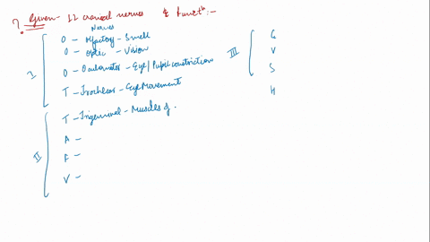 name-the-12-cranial-nerves-and-their-general-functions-31003