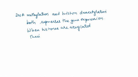 e-methylation-of-dna-increases-gene-expression_-f-acetylation-of-histone-proteins-is-decreases-gene-expression-g-phosphorylation-of-histone-proteins-causes-dna-to-condense-more-decreasing-ge-40627