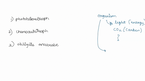 quesuon-3-3-pts-organisms-which-use-light-as-an-energy-source-and-carbon-dioxide-as-source-of-carbon-are-called-and-organisms-which-require-preformed-arganic-molecules-as-source-of-carbon-an-16437