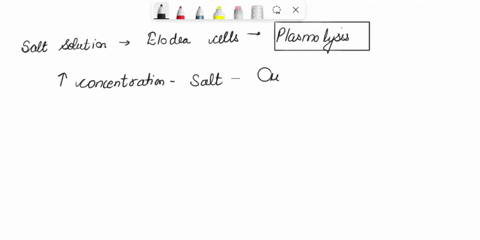 2-elodea-focus-on-the-chloroplasts-and-the-happened-to-the-plasma-membrane-within-the-cell-describe-what-4470o2-chloroplasts-when-the-salt-solutionewasapphlied-o-the-elodea-cels-and-explain-95639