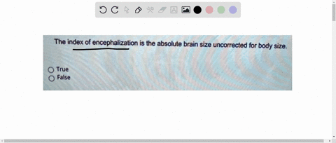 the-index-of-encephalization-is-the-absolute-brain-size-uncorrected-for-body-size-true-false-11292