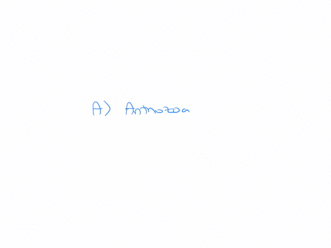 in-which-of-the-following-classes-from-the-cnidarians-is-the-medusa-form-absent-a-anthozoa-b-cubozoa-c-scyphozoa-d-hydrozoa-e-none-of-the-abov