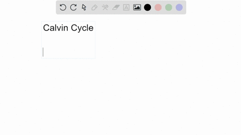 which-of-the-following-are-the-reactants-for-the-calvin-cycle-light-water-oxygen-atp-nadph-nadp-adp-carbon-dioxide-sugar-49188