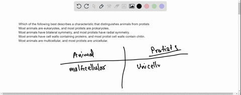 which-of-the-following-best-describes-a-characteristic-that-distinguishes-animals-from-protists-most-animals-are-eukaryotes-and-most-protists-are-prokaryotes-most-animals-have-bilateral-symm-18315