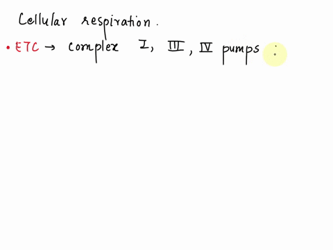 in-cellular-respiration-as-result-of-the-electron-transport-chain-proton-gradient-is-established-where-in-the-cellare-the-protons-concentrated-in-the-intermembrane-space-between-the-inner-an-91176
