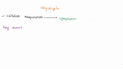 the-first-step-of-cellular-respiration-is-glycolysis-which-occurs-in-the-cytosol-glycolysis-involves-10-reactions-in-which-bonds-are-broken-or-rearranged-the-key-events-of-these-10-reactions-64374