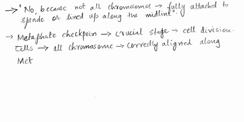 q65could-the-cell-shown-above-proceed-past-the-metaphase-checkpoint-exactly-in-its-current-statewithout-any-additional-changes-in-the-spindle-or-chromosomes-o-no-because-each-spindle-pole-ha-02422
