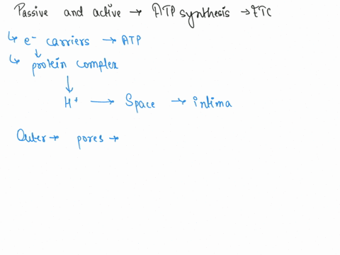 how-does-passive-and-active-transport-play-a-role-in-the-synthesis-of-atp-through-the-electron-transport-chain-43064
