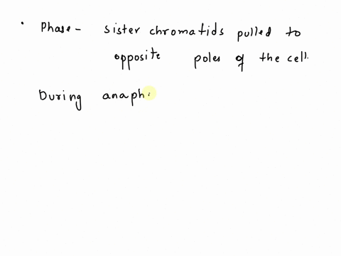 in-which-mitotic-phase-are-the-sister-chromatids-separated-and-pulled-to-opposite-poles-24757