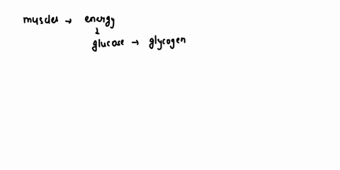 why-does-lactic-acid-fermentation-occur-in-muscles-and-how-does-it-affect-them-63785