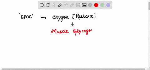 excess-post-exercise-oxygen-consumption-the-oxygen-consumed-after-strenuous-exercise-stops-is-signif-62147