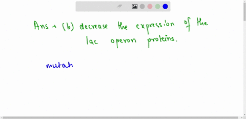 a-mutation-occurs-in-the-lac-repressor-protein-such-that-it-can-no-longer-bind-to-lactosewhat-effect-will-this-mutation-have-on-expression-of-proteins-of-the-lac-operon-in-thepresence-of-lac-78035