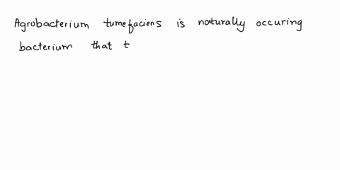 agrobacterium-tumefaciens-is-bacteriophage-virus-that-infects-bacteria-that-can-be-used-to-silence-the-expression-of-specific-target-genes-family-of-transposable-elements-found-in-maize-corn-08574