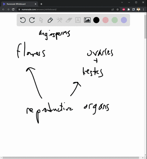 explain-what-flowers-have-in-common-with-ovaries-and-testes-57066