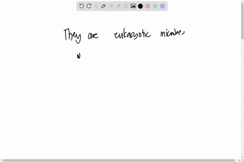 t-which-of-the-following-is-a-characteristic-of-protists-select-one-they-are-eukaryotic-microbes-which-cannot-be-classified-as-fungi-they-are-acellular-they-are-prokaryotic-microbes-they-are-79718