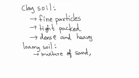 what-is-the-difference-between-clay-soil-and-loamy-and-sandy-soil-77754