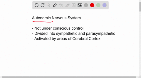 which-of-the-following-characteristics-apply-to-the-autonomic-nervous-system-not-under-conscious-control-controls-skeleta-muscle-throughout-the-body-activated-by-centers-in-the-cerebra-corte-20332