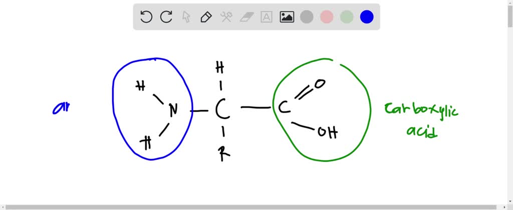 SOLVED: What biological macromolecule is made up of monomers like the