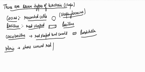 chapter-3-cells-describe-seven-types-of-bacterial-cell-shapes-03-01-morphology-of-prokaryotic-give-bacterial-examples-lecture-slide-22-and-six-types-of-bacterial-celi-grouping-staphylococcus-52394