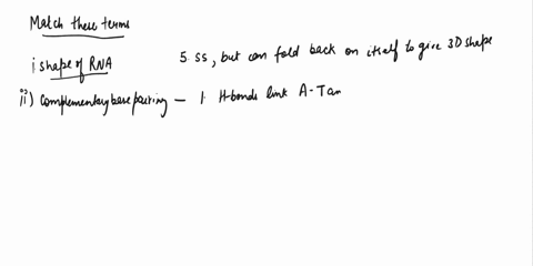 questicn-3-1-point-match-these-terms-relating-to-base-pairing-hydrogen-bonds-link-a-t_-and-6-c-these-maze-rungs-of-dna-ladder-shape-rna-numbcr-of-bonds-between-adenine-thymine_-or-between-ad-51895