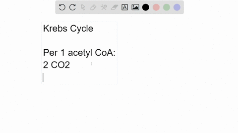 how-many-atp-nadh-fadh2-and-co2-can-be-produced-from-krebs-cycle-if-six-molecules-of-acetyl-coa-entered-the-cycle-76496