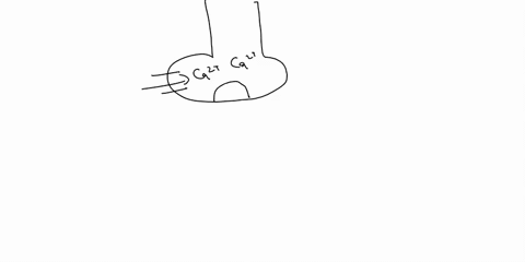 regerding-motor-neurons-which-one-of-the-following-statements-is-fabe-scled-one-o-a-in-a-resting-motor-neuron-na-is-more-concentrated-outside-the-cell-than-inside-the-cell-b-the-axon-of-huma-74078