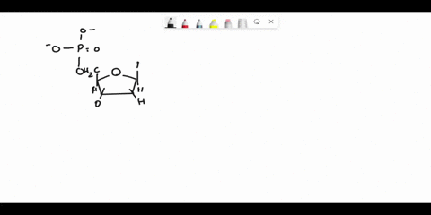 draw-a-dinucleotideof-dna-with-the-following-steps-1-thymine-is-the-base-on-the-nucleotide-at-the-5-end-of-the-molecule-2-guanine-is-the-base-at-the-3-end-28877