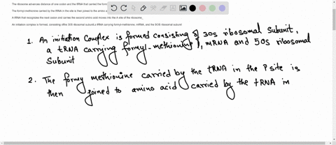 13-put-the-steps-in-translation-in-order-the-names-of-the-enzymes-and-the-names-of-the-strands-are-highlighted-to-help-vou-see-the-order-in-which-they-work-the-ribosome-dissociates-into-the-86625
