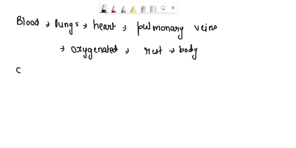 SOLVED Blood returning to the mammalian heart in a pulmonary vein