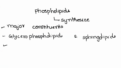 plasma-membrane-defines-the-cell-and-separates-the-inside-from-the-outside-it-is-mainly-composed-of-a-phospholipid-bilayer-the-movement-of-ions-and-polar-molecules-across-the-plasma-membrane-92523